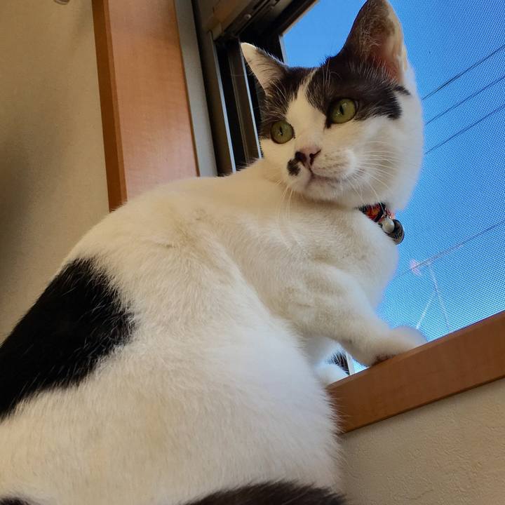 B9779b03 8145 4d4f 9a7a 2dd857c01c74