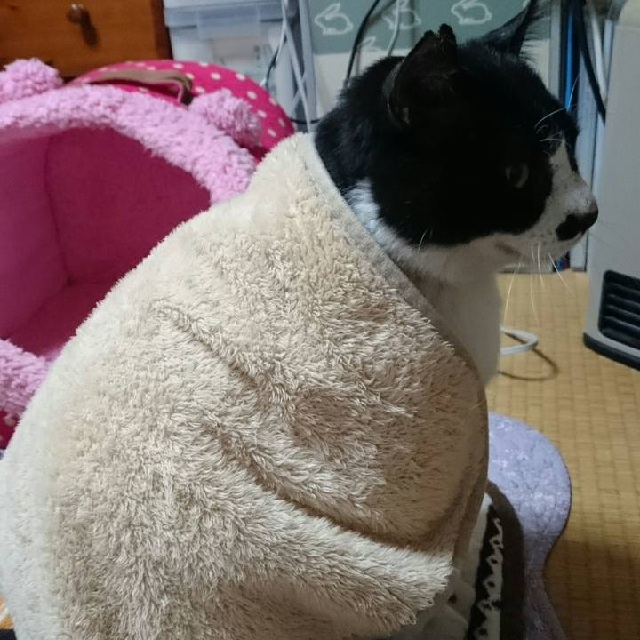 B977d5b8 daf0 4f14 9f37 888a83c5727f