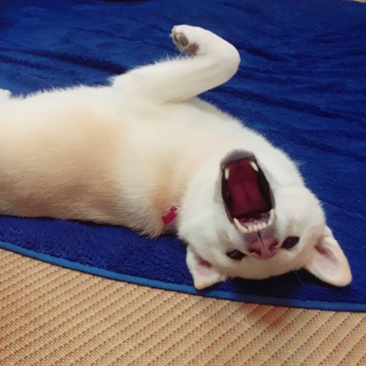 B9785dae dc82 42c3 992c ee30ae63d0e8