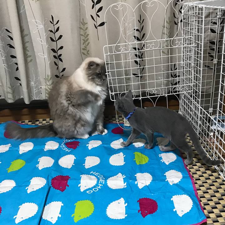 B978ad5c da0d 410a a848 968f6e0b4070