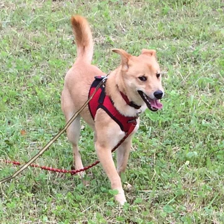 B978c344 8abc 4c35 aac1 7fce1064cc2d