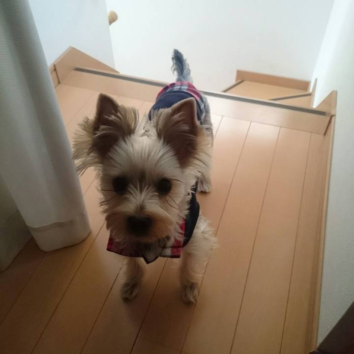 B9791cc4 a0a0 4cd2 a04a 67c0f1defdf4