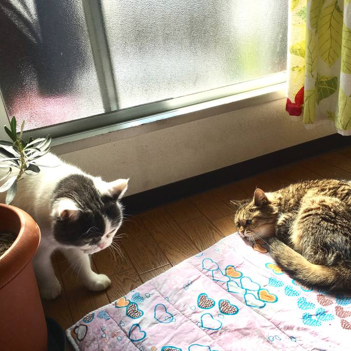 B979280e a240 4183 a66c 98069a381fe5