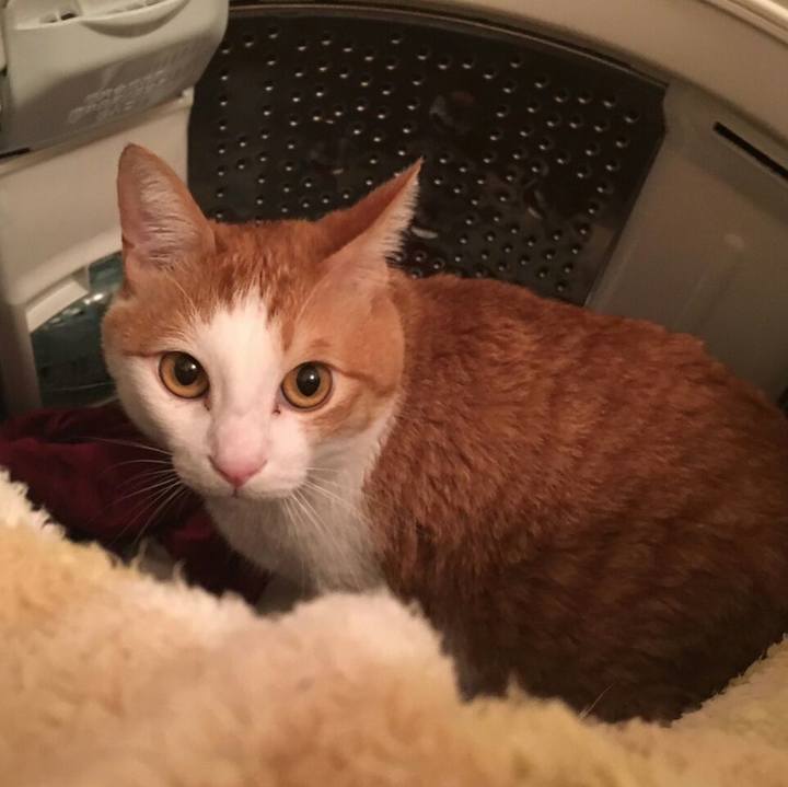 B9798aa3 a1e3 4e08 a383 5c51f717cdba