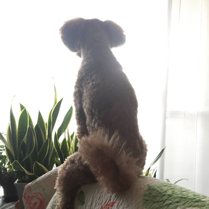 B97a0600 932b 4ffe 8434 3b1de335a93a