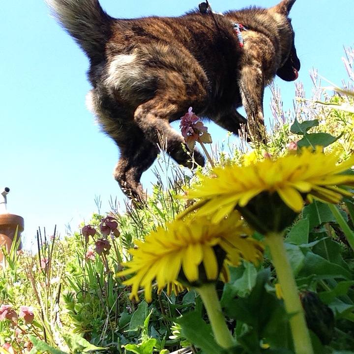 B97ac128 59d3 4c6e b224 0c811d6fccb0