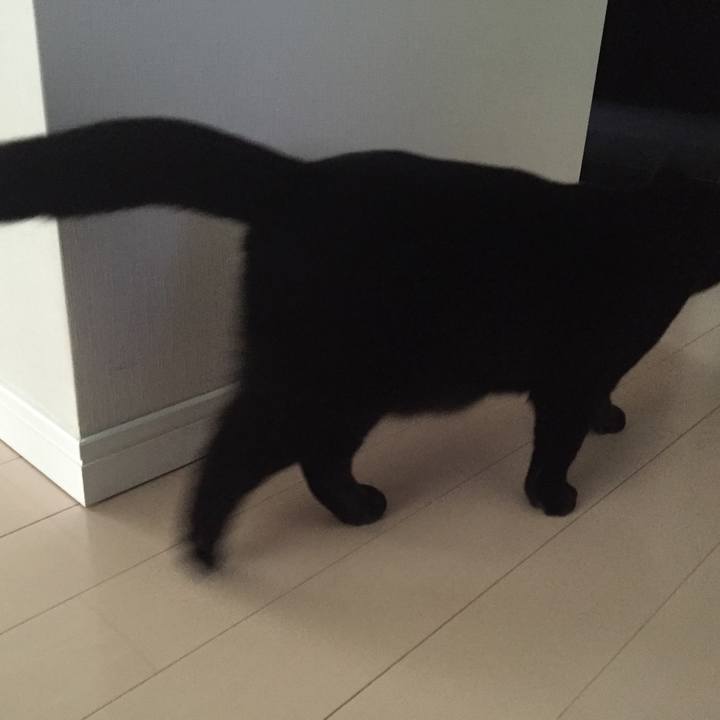 B97b4619 07a6 4cc9 8085 39ab4db1a270