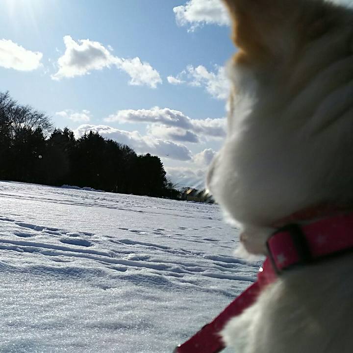 B97c1884 8a11 4c09 b49f c522255bd3ba