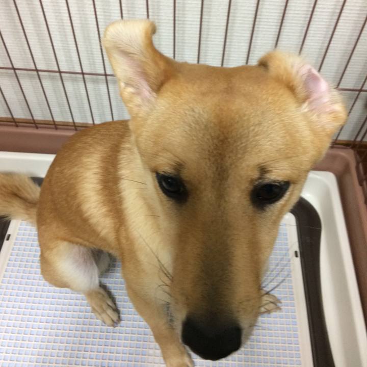 B97c75c9 a492 4619 9dbe 4d387f39f12a