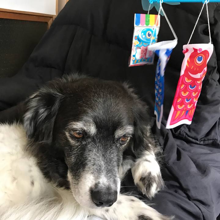 B97ca1e6 c01c 4d1e 9259 76b19acaf770