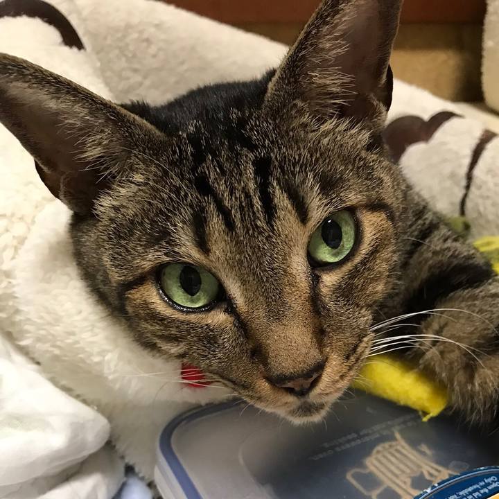 B97d1820 914b 4231 9e1d fa1b840ae66e