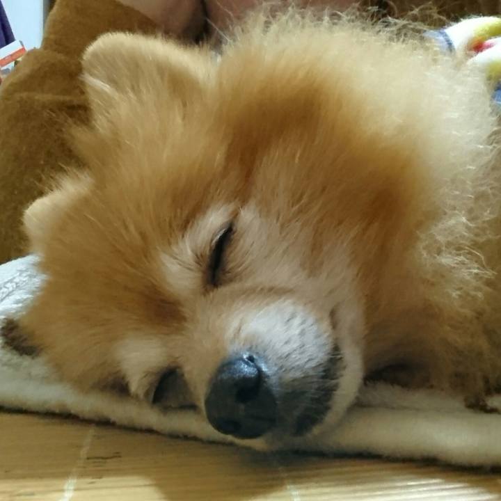 B97e23ea a80e 479b b786 9886b8b6cd43