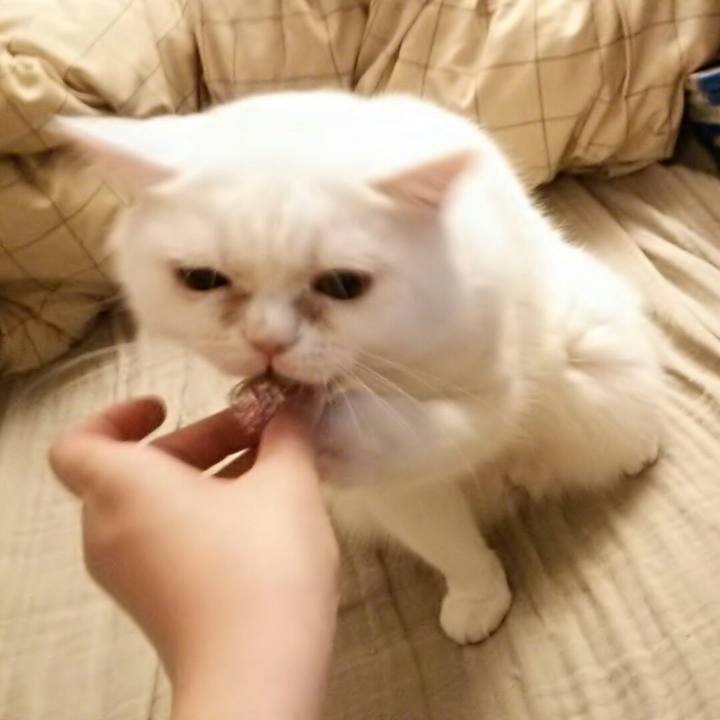 B97e4373 6d51 4054 989e 3b0c42db066d