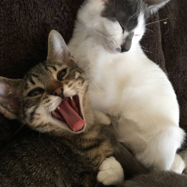 B97ea8f1 7c22 44da baff 8b4916620e9f