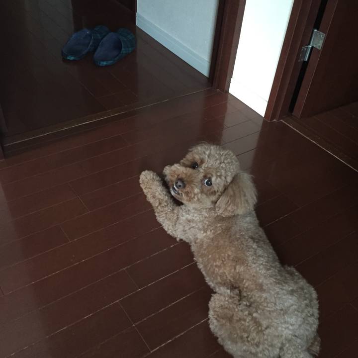 B97ef937 1f07 47b4 9f89 da58017b2976