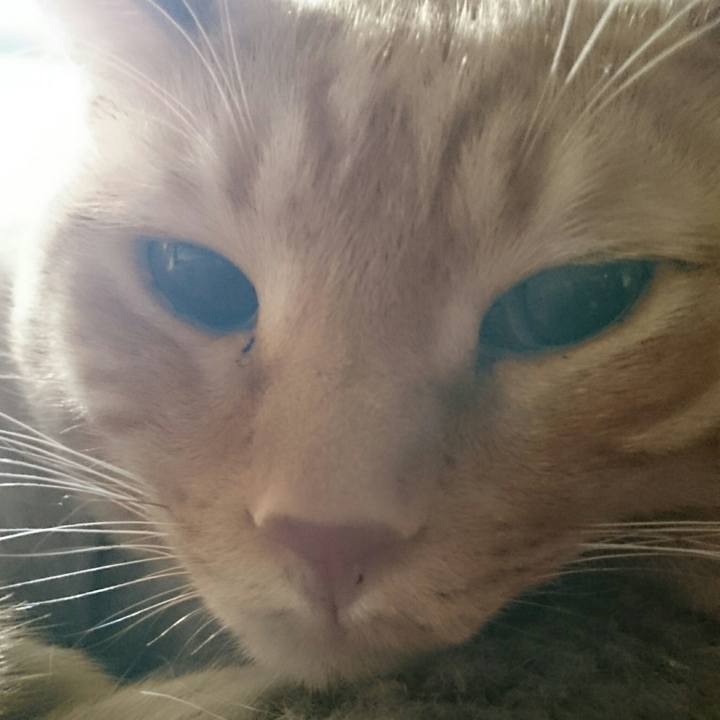 B97f2e92 7fdf 47fb 9bfa 14991cbf5e89