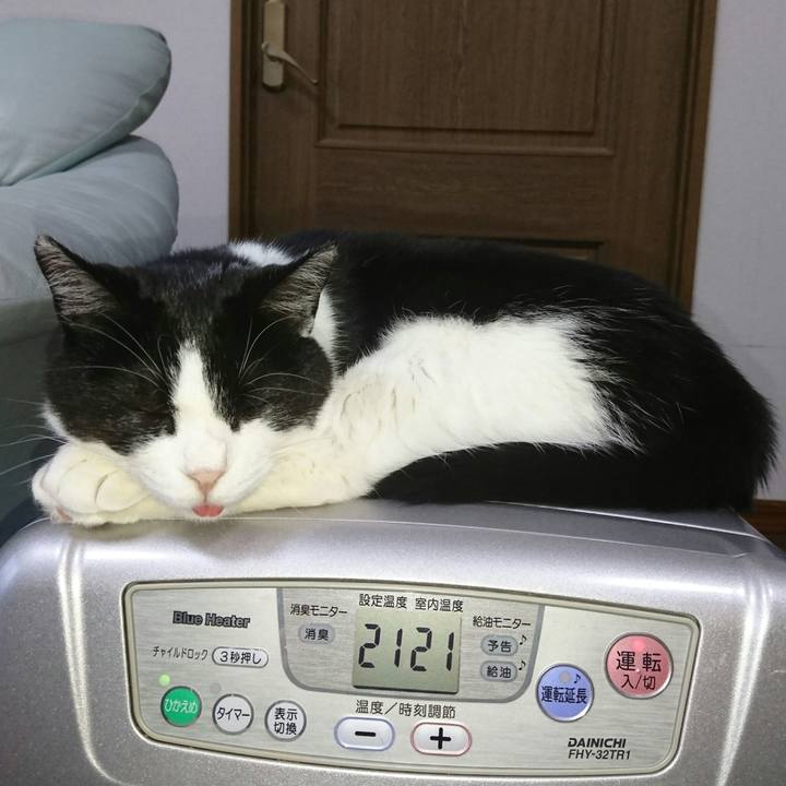 B97f7d15 b935 4f30 9be5 91b231700b79