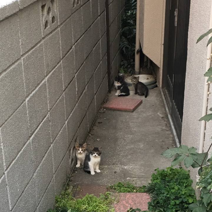 B97fe918 9a74 4f00 b24f 95da86d758f5