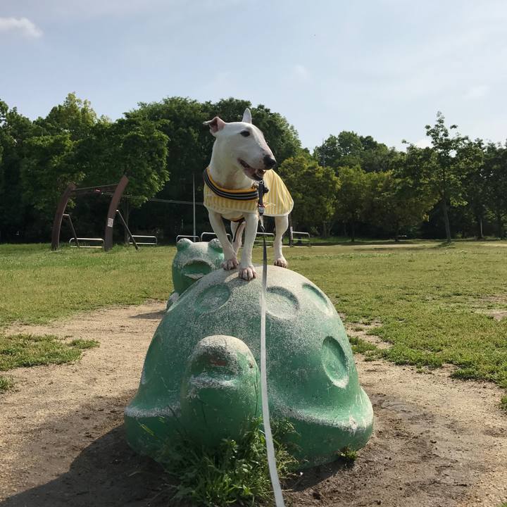 B97ff79f 911b 484a 9342 be914c3d92c2