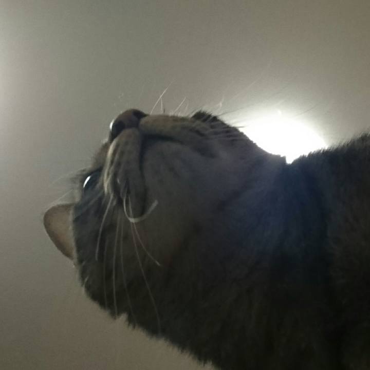 B9808ef9 8912 41ea bd3d f52b9271d66a