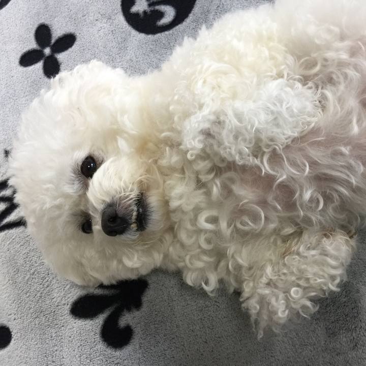 B980c87d 4ebc 46b5 ae65 d210a833dc5b