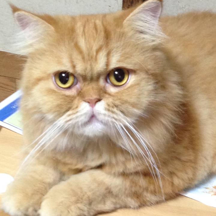 B9826991 22c8 43ba b9e1 032f06fab792