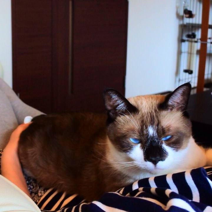 B98274be 1882 4c54 bf64 c3b6a35e2517