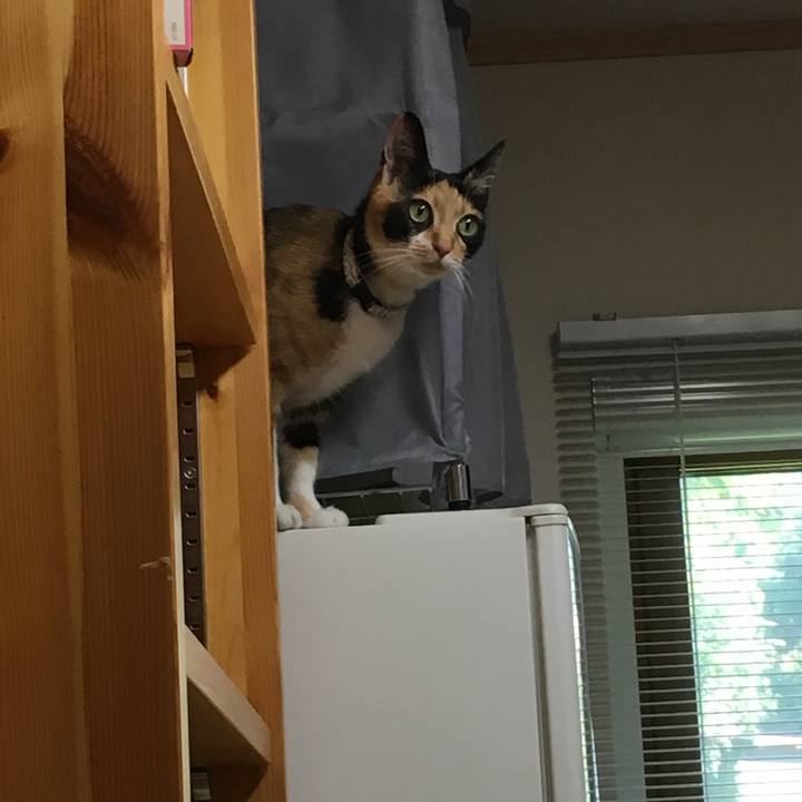 B98289a0 c723 4dd7 a60d 7cd2aba495fb