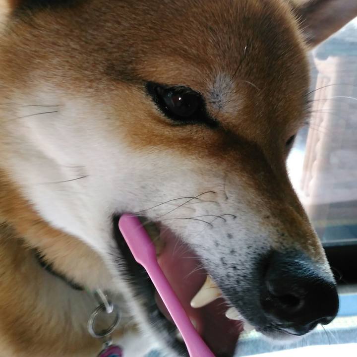 B982e207 de57 4a23 b66b f9bc6576cb23