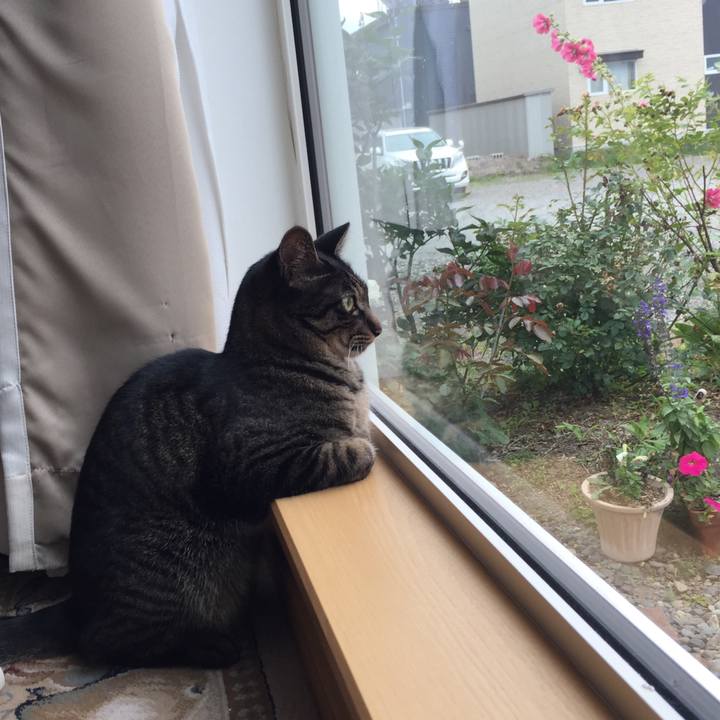 B9830655 8a2f 497f ab01 5925eb6e2e4f