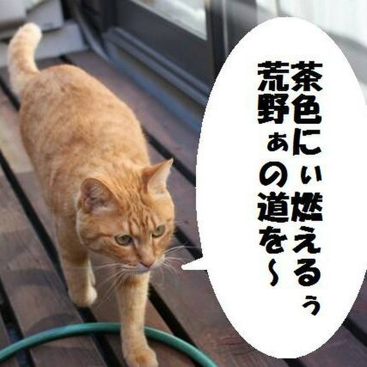 B983390f 7b2a 4a91 ada7 b4ab9e5c51a5