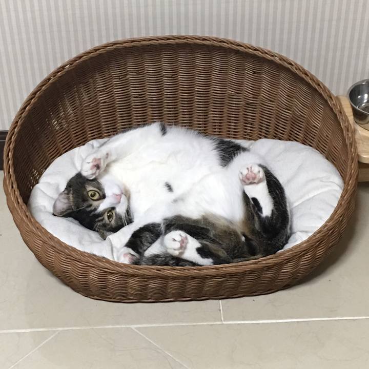 B983e515 7a4c 4677 a70f fe8ae938ffd4