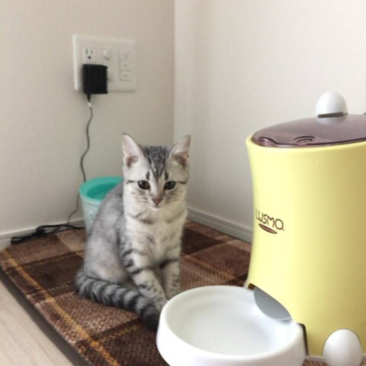 B984e08e 6a44 4cf9 966e dc2ebd1f7007