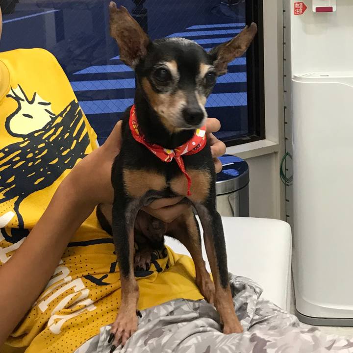 B984e5a8 0b10 4b9a ac70 a306488d4788