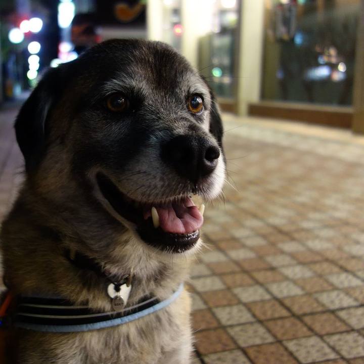 B984e6fc 0eb3 4e4b a31b 9b31b13064ed