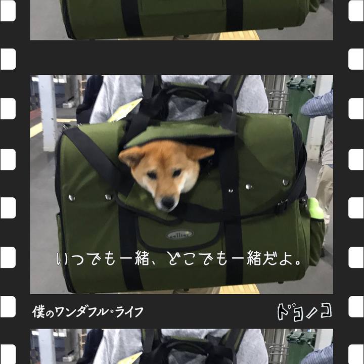 B984f728 9b0d 4e71 be6d d28bfd9d119c