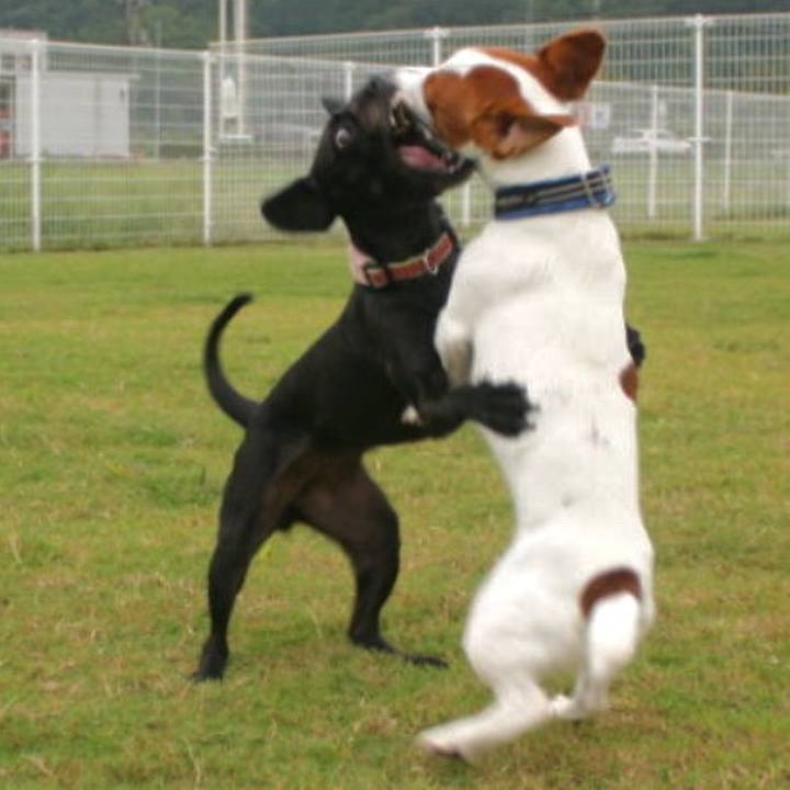 B9859602 e88d 42cd a589 c07603148265