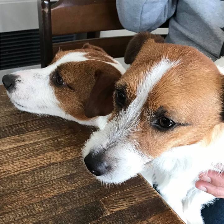 B985b246 6b43 4c31 a9e5 ae82592defdd