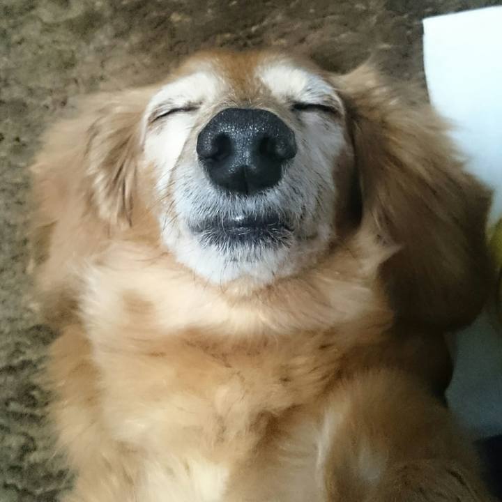 B985d850 2b2c 414a b31e 1f4354ce8865