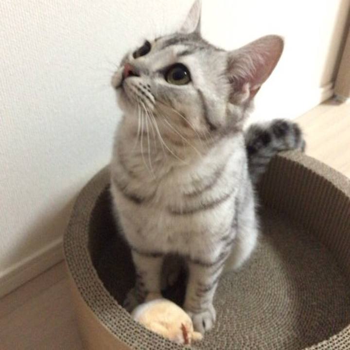 B985f0f5 26dd 4970 900c 3581857073ac