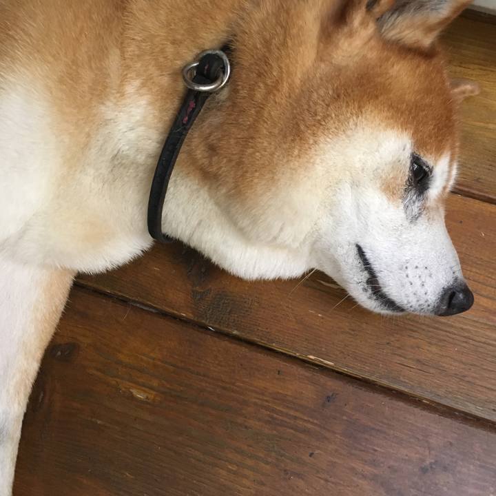 B9861b24 77d8 4721 a263 a302c2949177