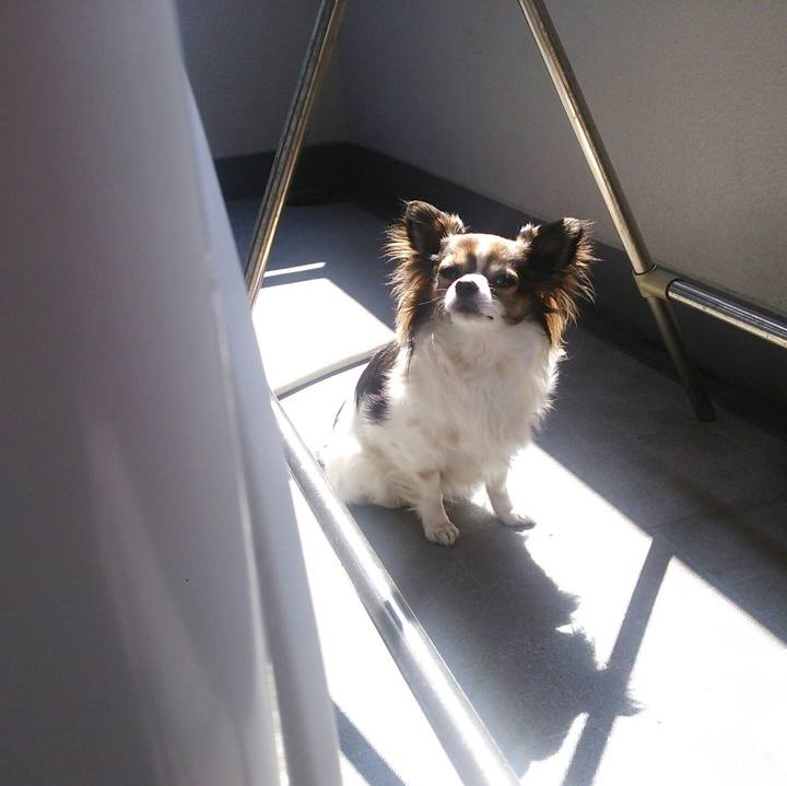 B986b9a0 a70f 4f7e 82c8 04ed319d53cf