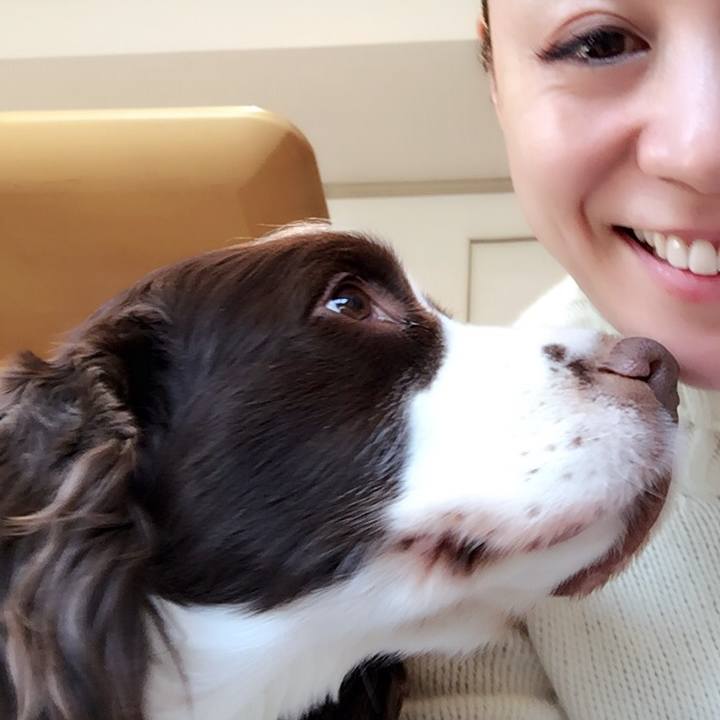 B98702f6 384a 4b48 9845 2f770a732288