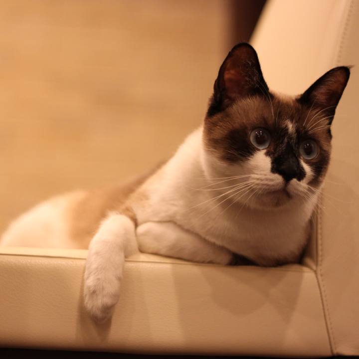 B9873b33 27d0 45c7 b2c9 f9933025b4fb