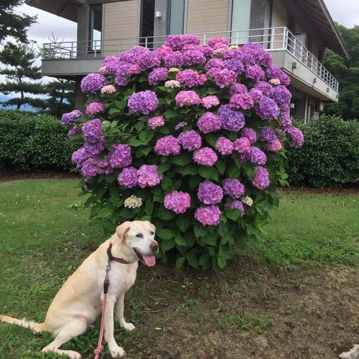 B987a51b d7d2 449a ab32 d3623fbe67e6