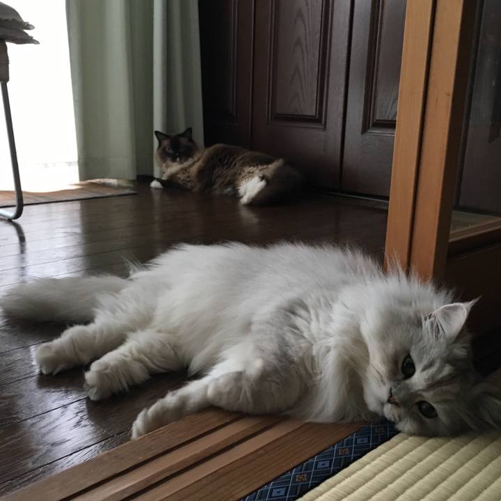 B988006b a659 463c 8810 5c78845fd9f7