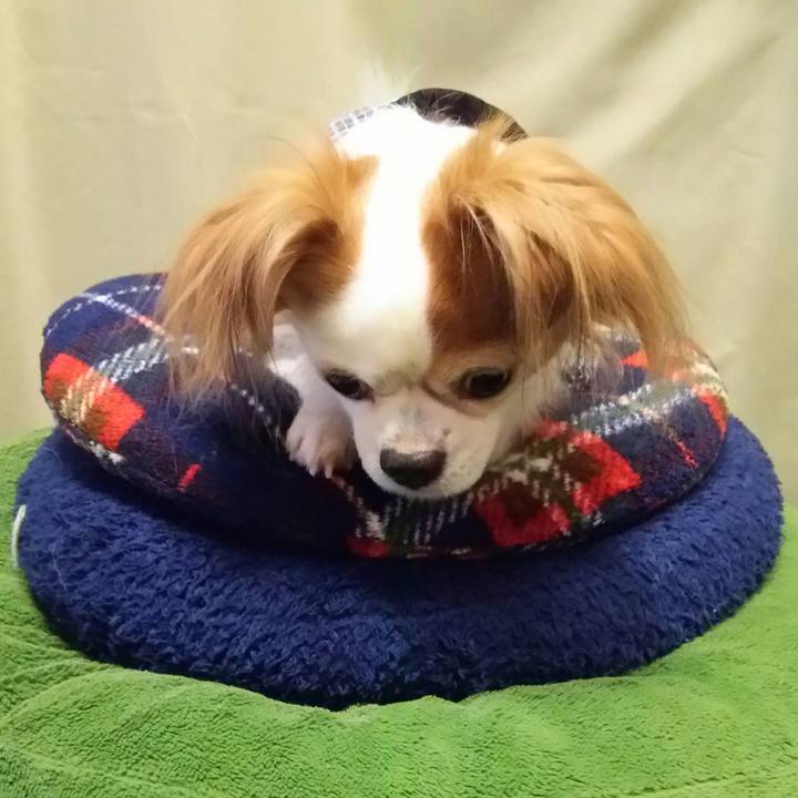 B988c563 3642 4536 87dc 63377148b686