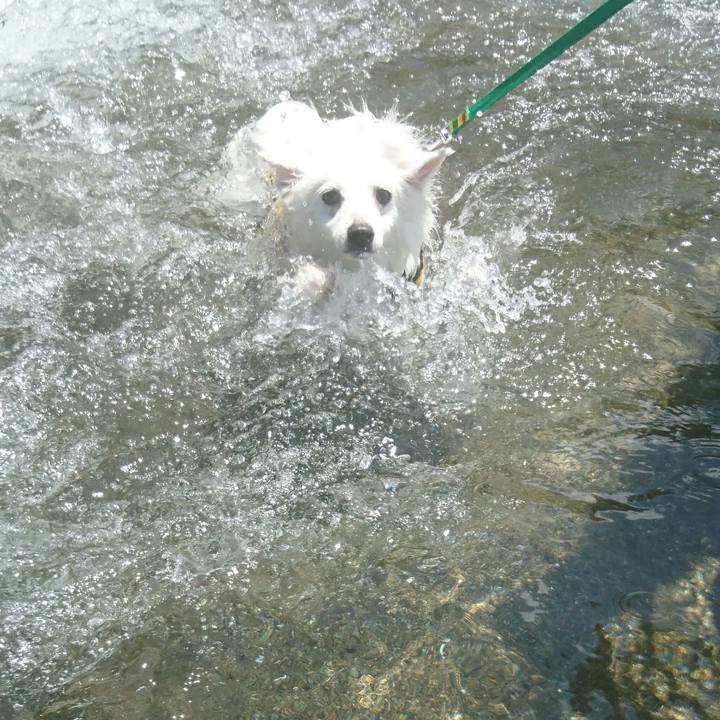 B9895507 3dd2 43cf 97c5 7a81809a000c