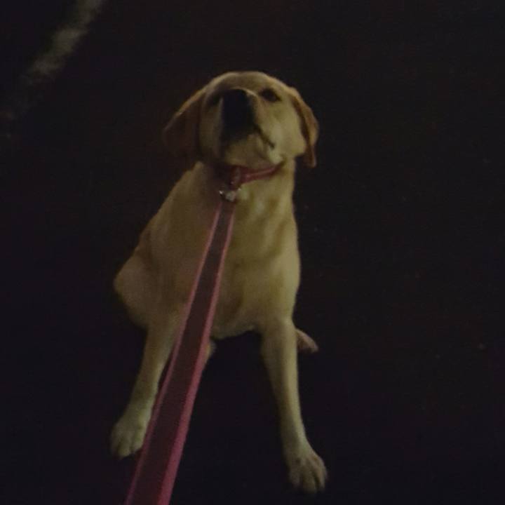 B9899aac b4d6 4e24 8f17 008387efea0e