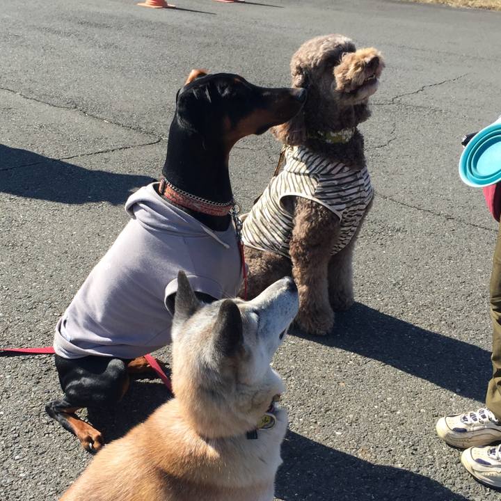 B989f282 2a60 4919 81e6 5f0b6f2b7f52